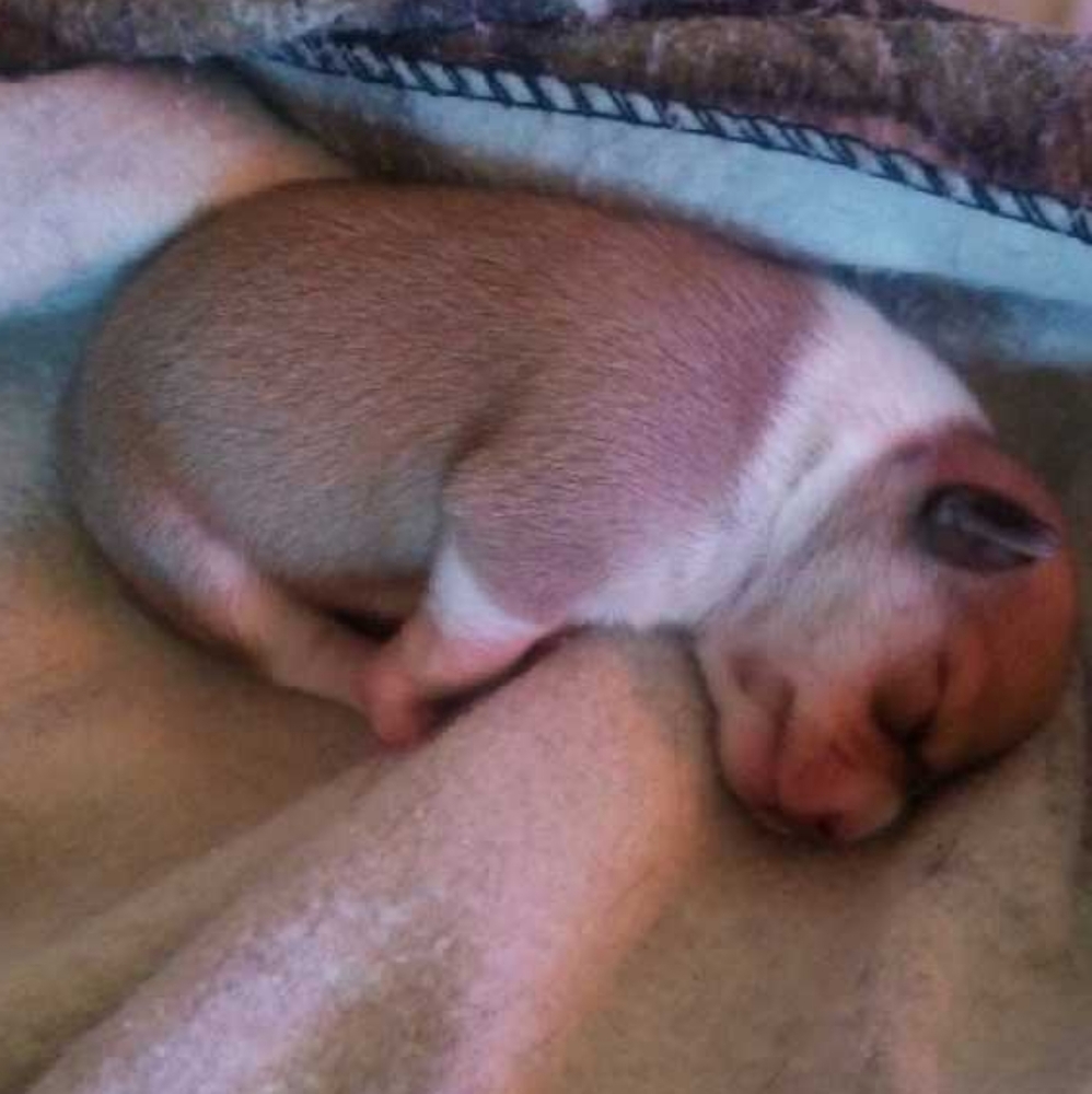My new baby girl